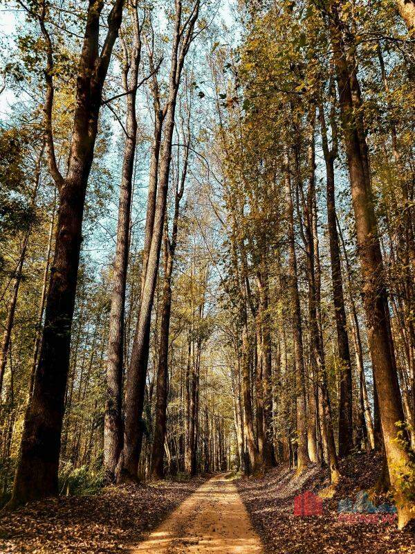 Terreno em condomínio à venda Terra Caxambu Origen em Jundiaí: 