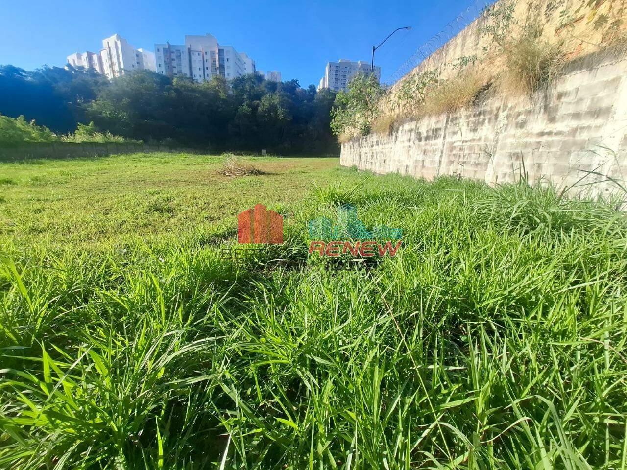 Terreno Comercial à venda Santa Cruz em Valinhos: 