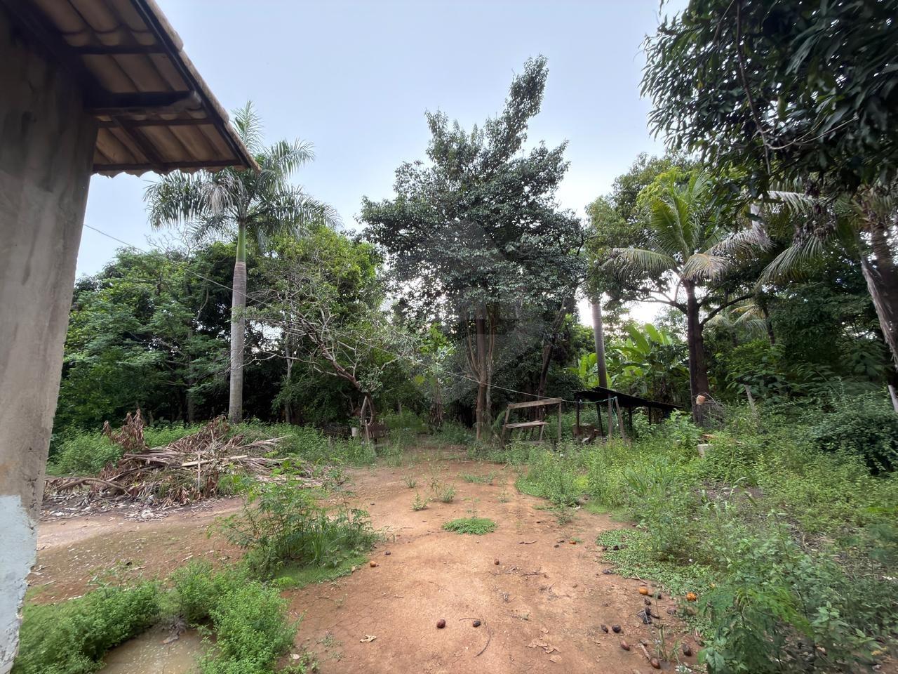 Chácara à venda no Capim: 