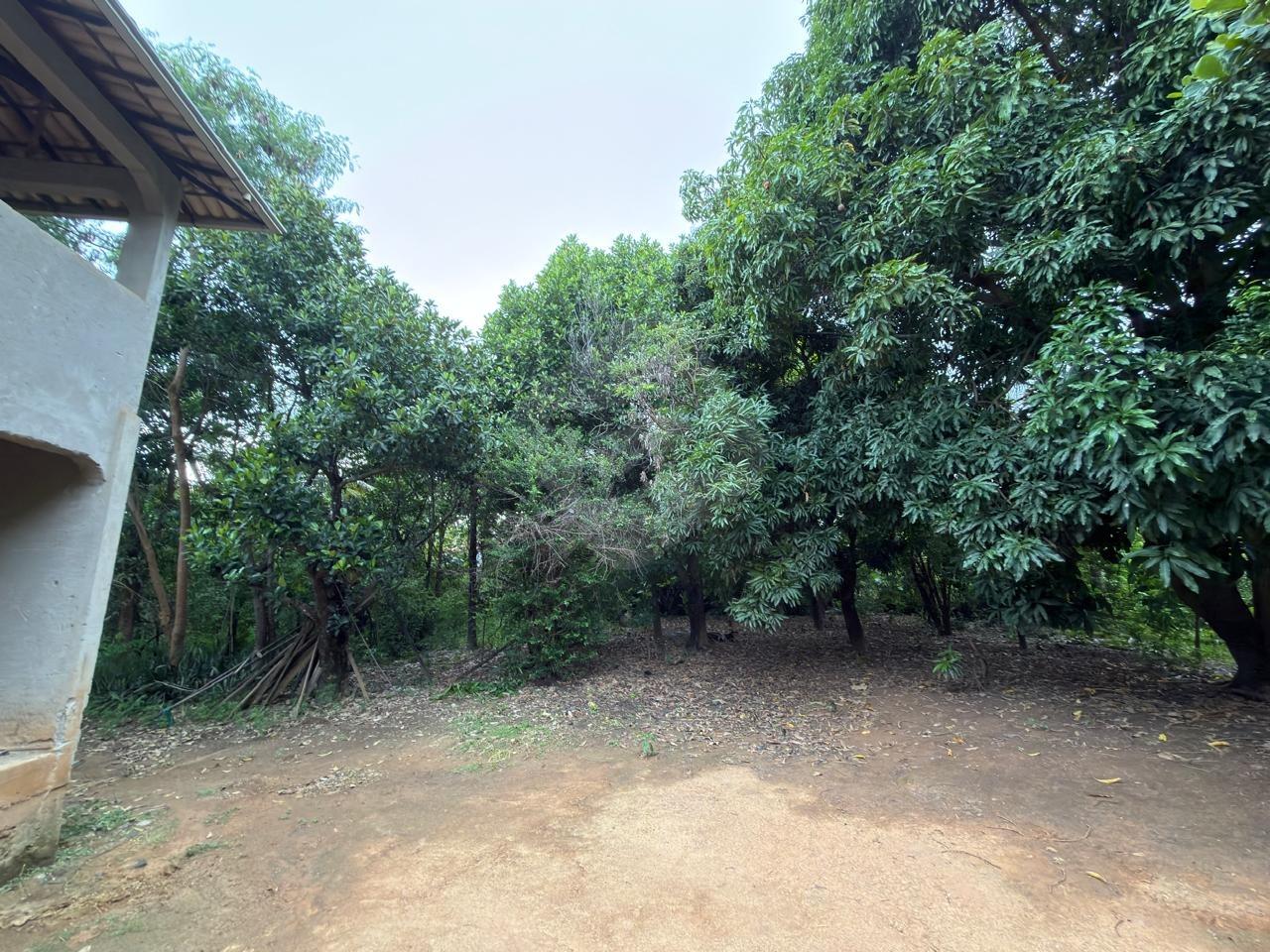 Chácara à venda no Capim: 