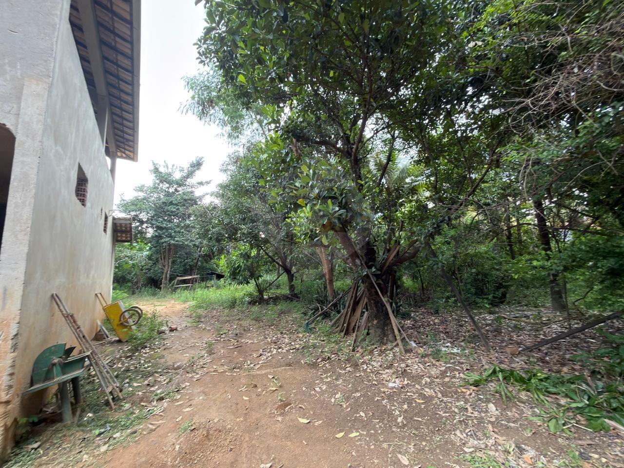 Chácara à venda no Capim: 