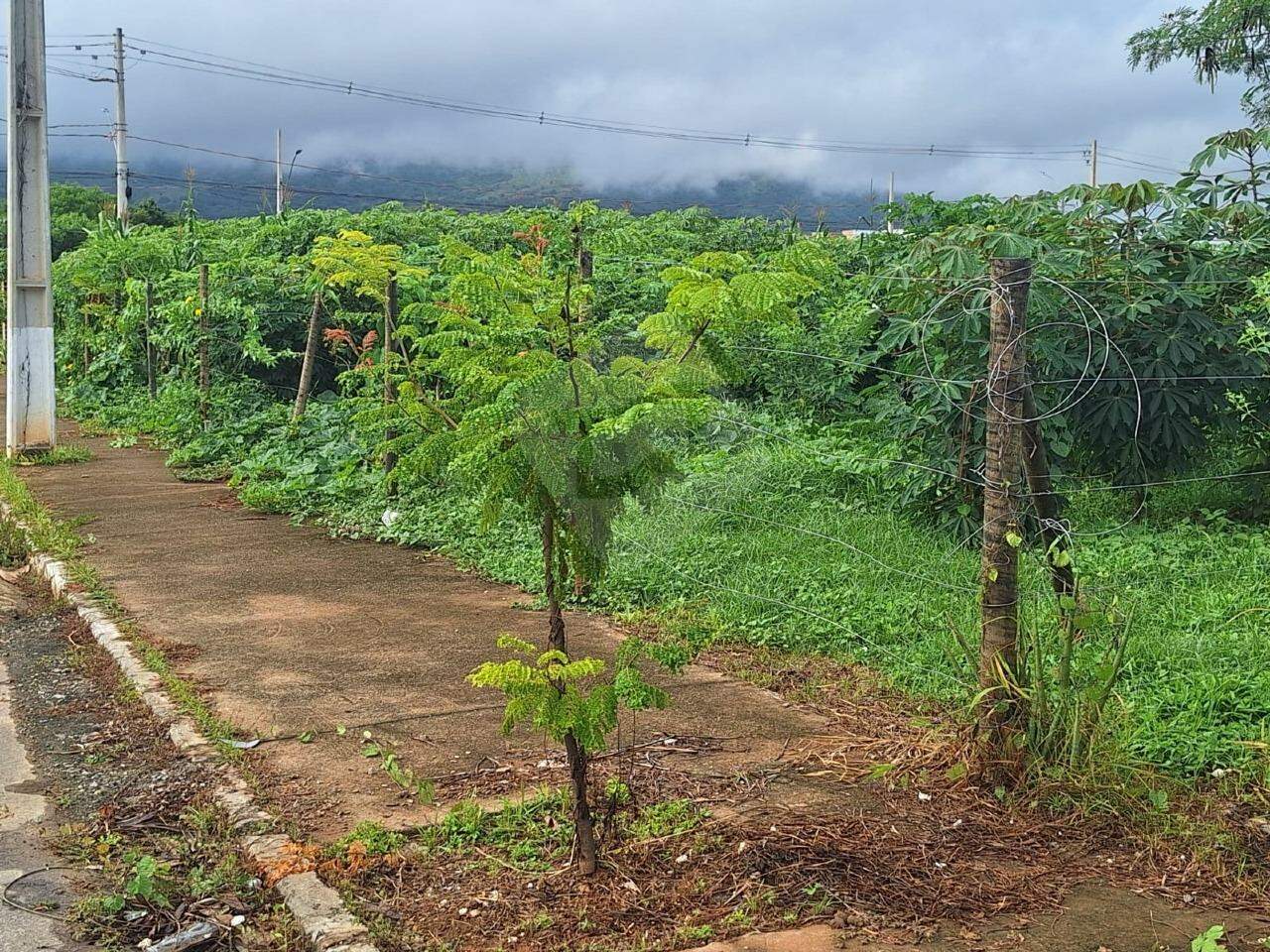 Lote à venda no São Pedro: 