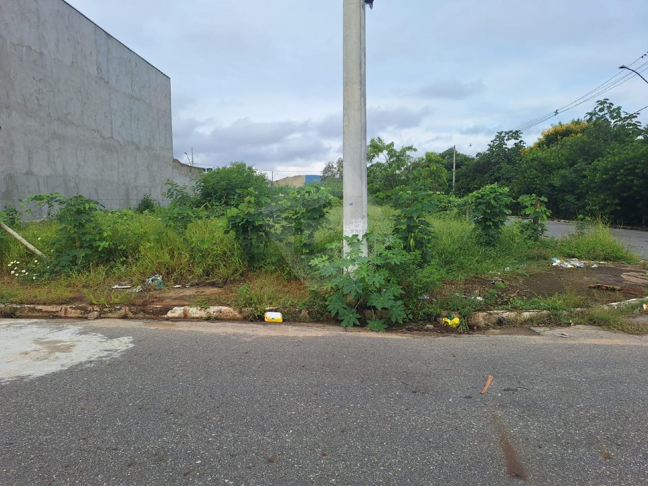 Lote à venda no São Pedro: 