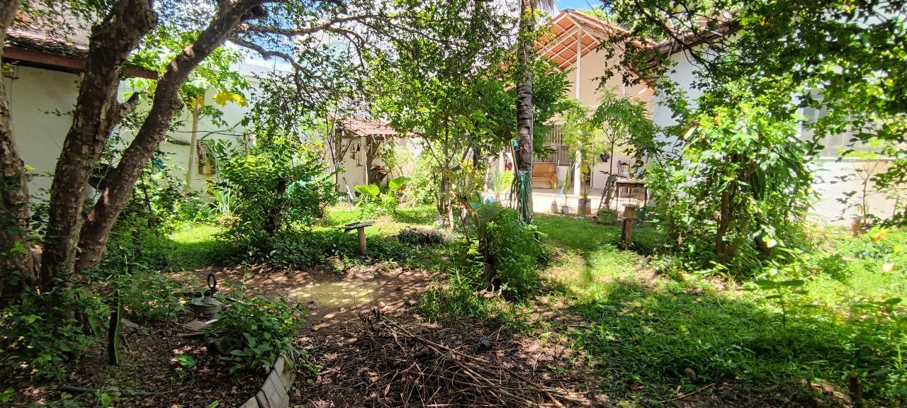 Casa à venda no Esplanada: QUINTAL