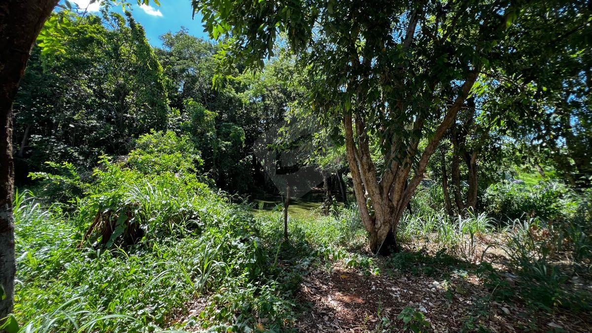 Casa à venda no Castanheiras II: 