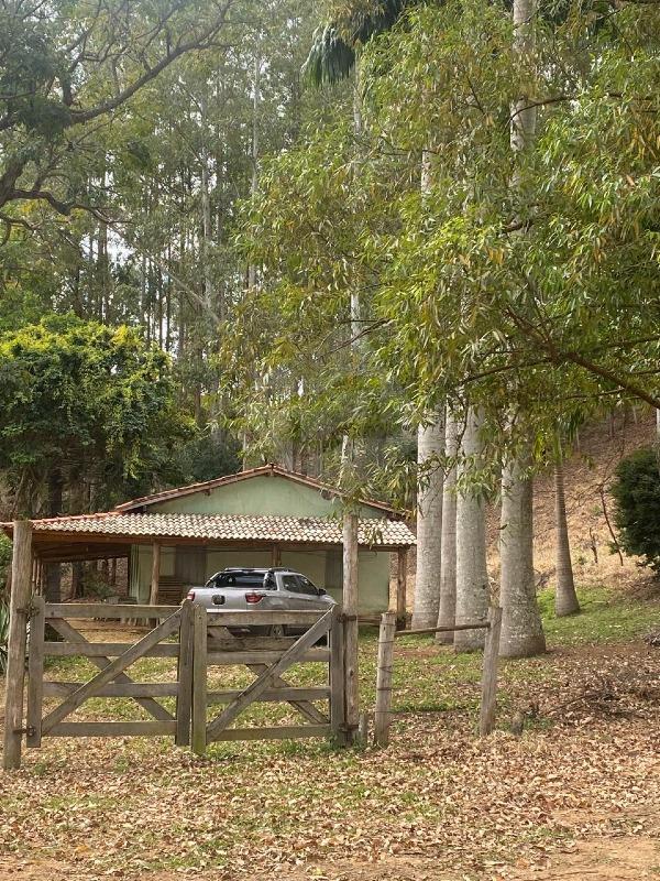 Fazenda à venda no Novo Cruzeiro: 