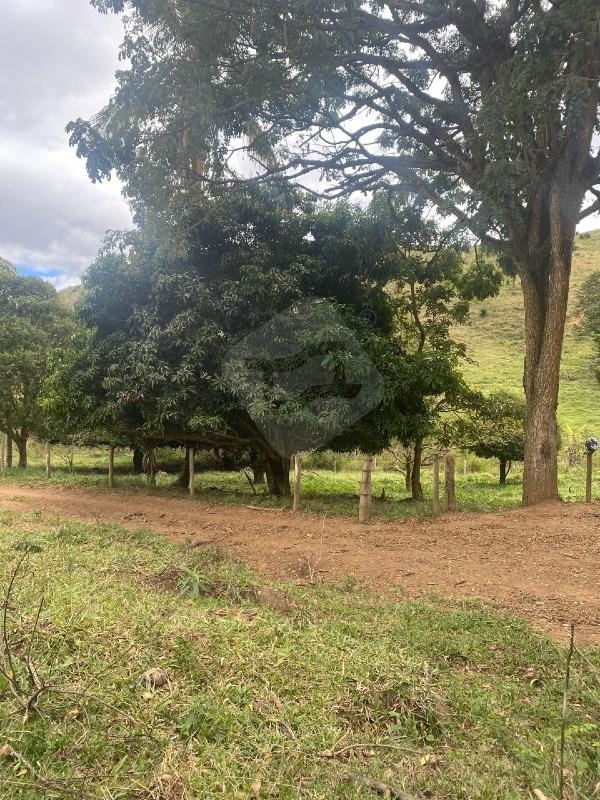 Fazenda à venda no Novo Cruzeiro: 