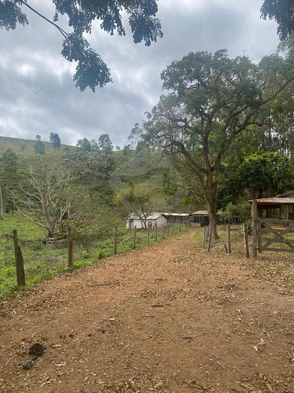 Fazenda à venda no Novo Cruzeiro: 