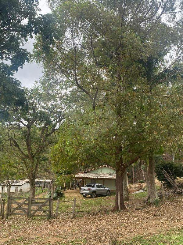 Fazenda à venda no Novo Cruzeiro: 