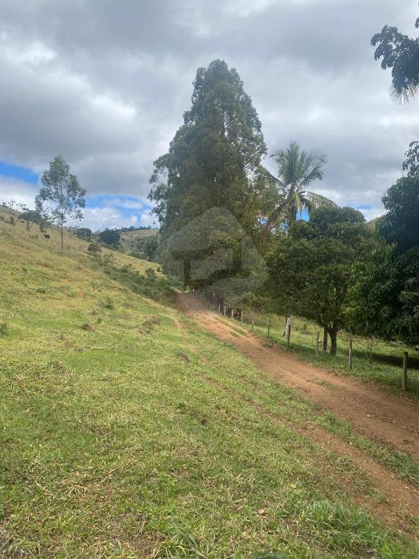 Fazenda à venda no Novo Cruzeiro: 