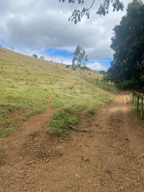 Fazenda à venda no Novo Cruzeiro: 