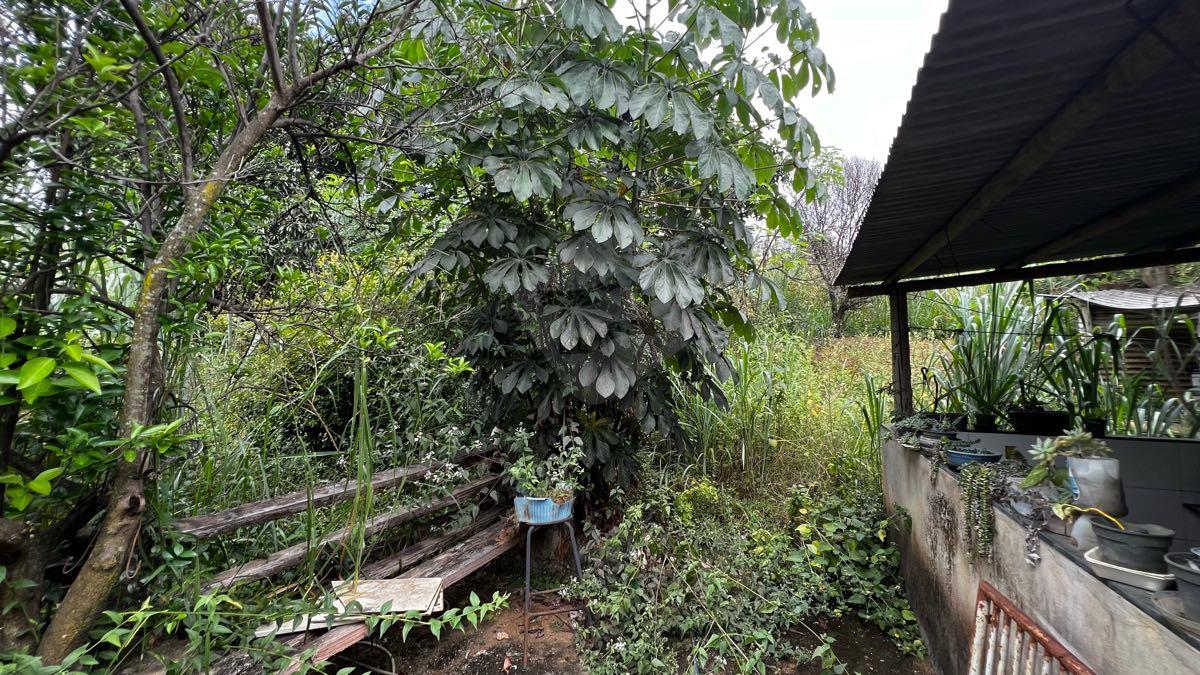 Chácara à venda no Cherokee: 