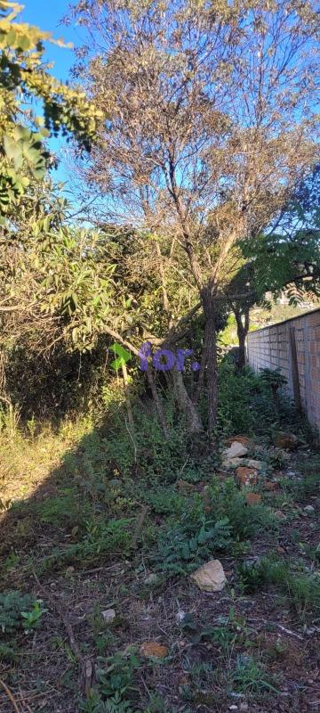Lote à venda no Balneário Água Limpa: 