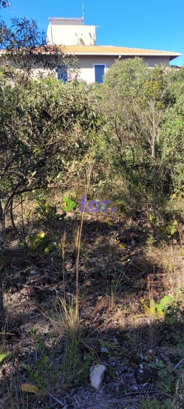 Lote à venda no Balneário Água Limpa: 
