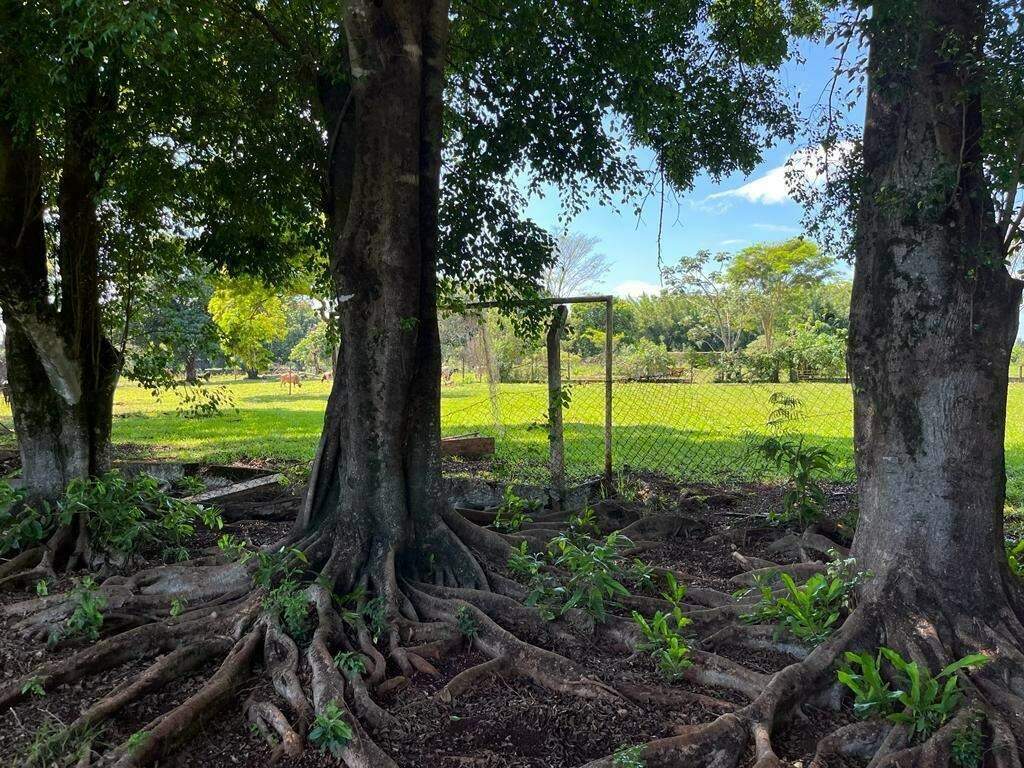 Chácara à venda, Jardim Rasslem – Dourados/MS - Foto 2