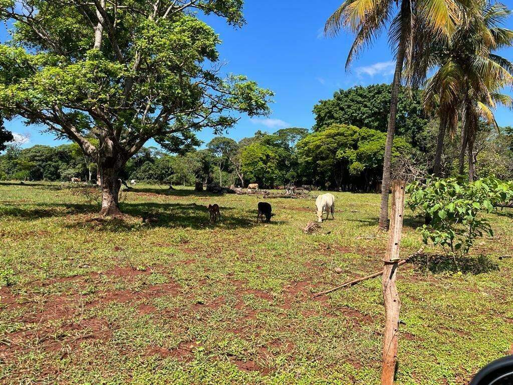Chácara à venda, Jardim Rasslem – Dourados/MS - Foto 4