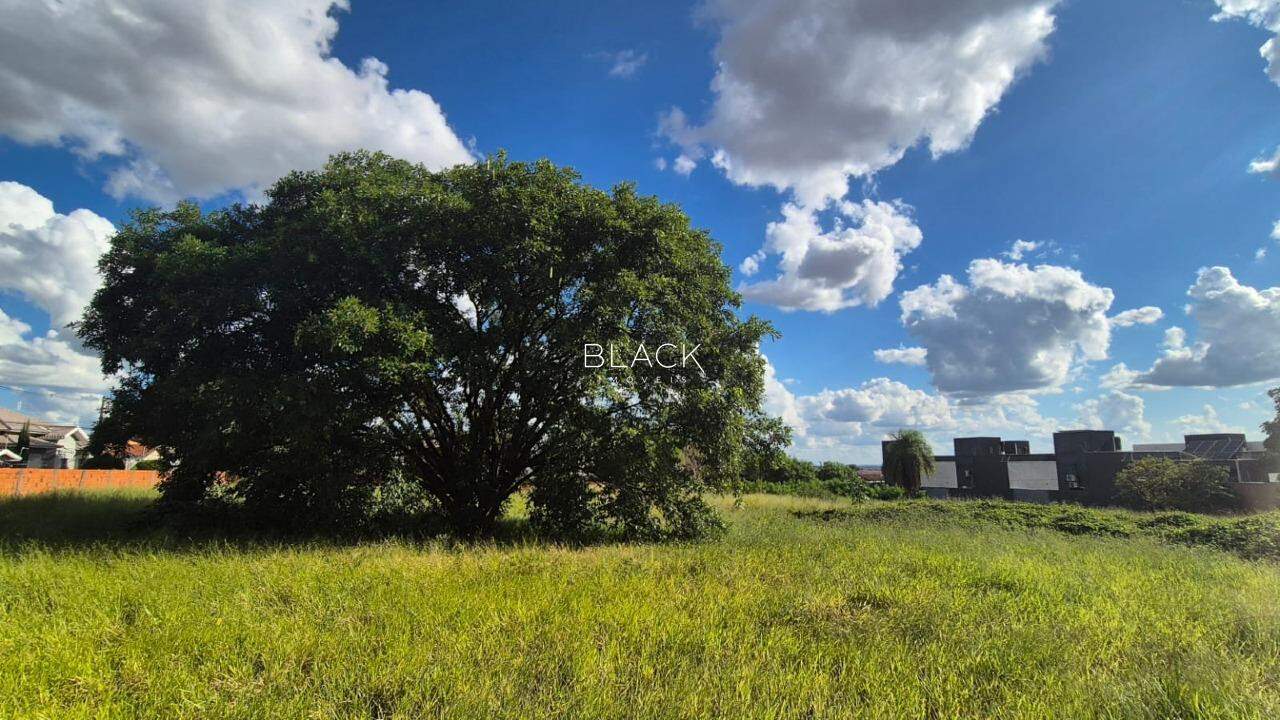 Terrenos à venda – Jd TV Morena - Foto 2
