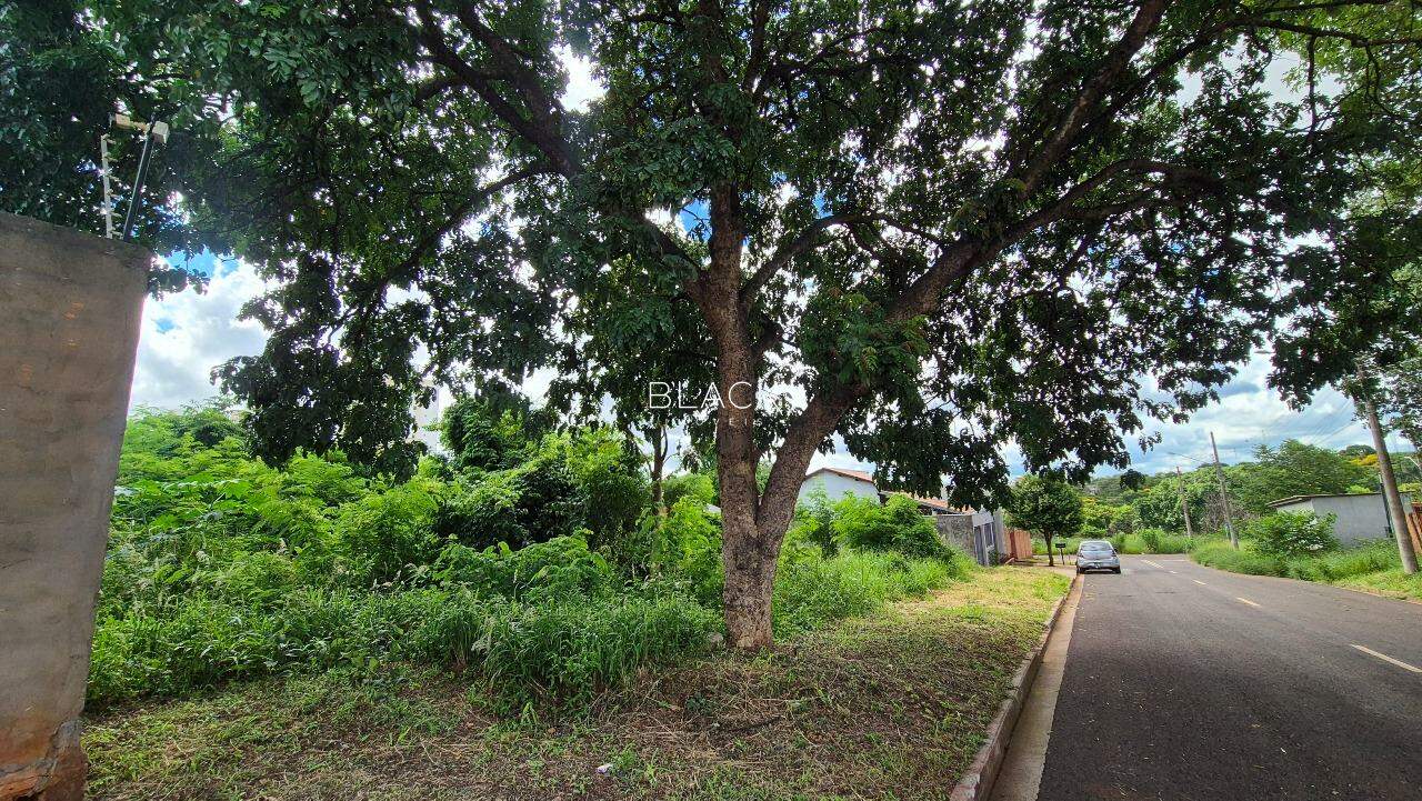Terreno à venda – Vila Morumbi - Foto 3