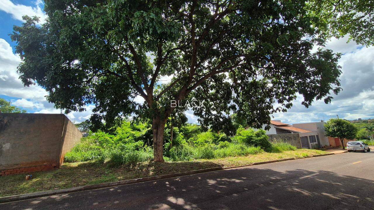 Terreno à venda – Vila Morumbi - Foto 4
