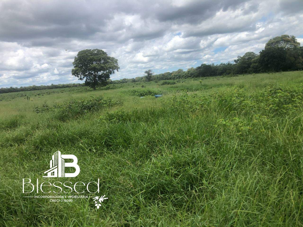 Fazenda à venda no zona rural de Barra do Bugres-MT: 