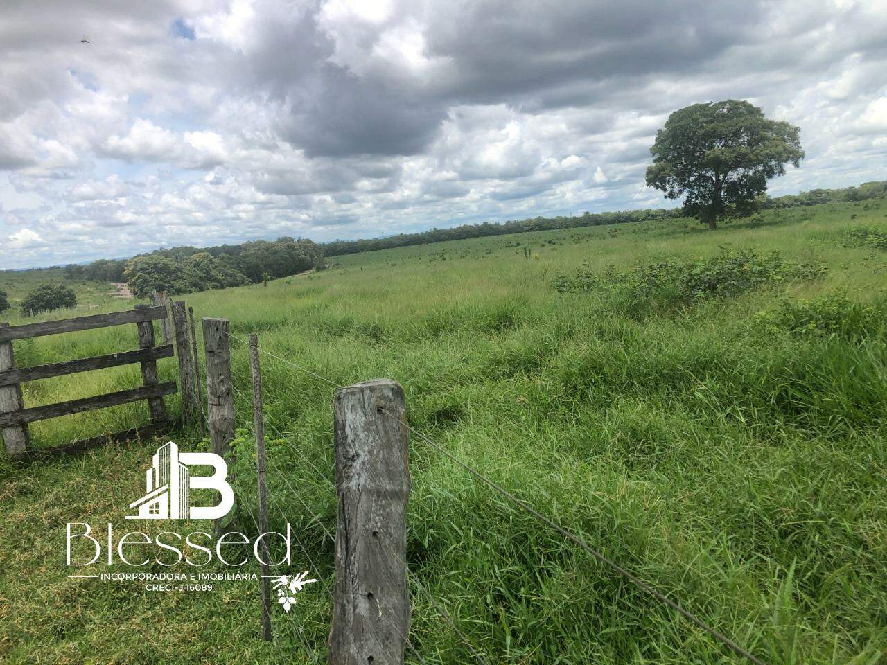 Fazenda à venda no zona rural de Barra do Bugres-MT: 