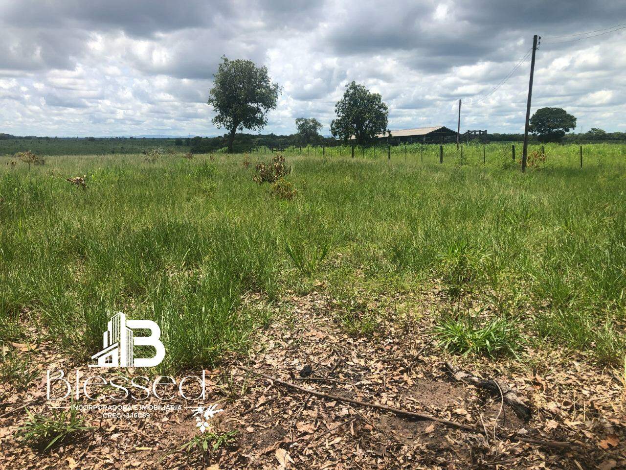Fazenda à venda no zona rural de Barra do Bugres-MT: 