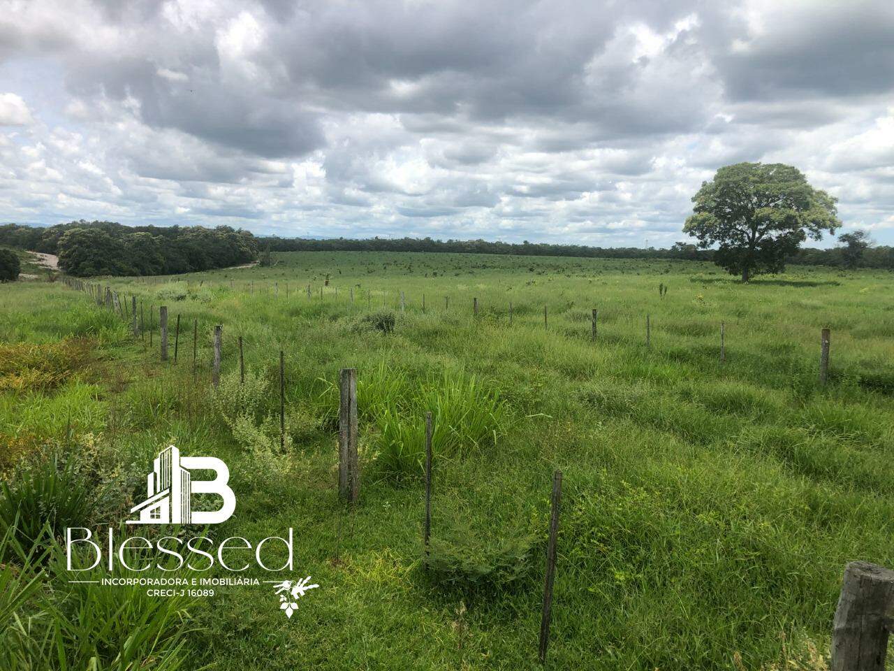 Fazenda à venda no zona rural de Barra do Bugres-MT: 