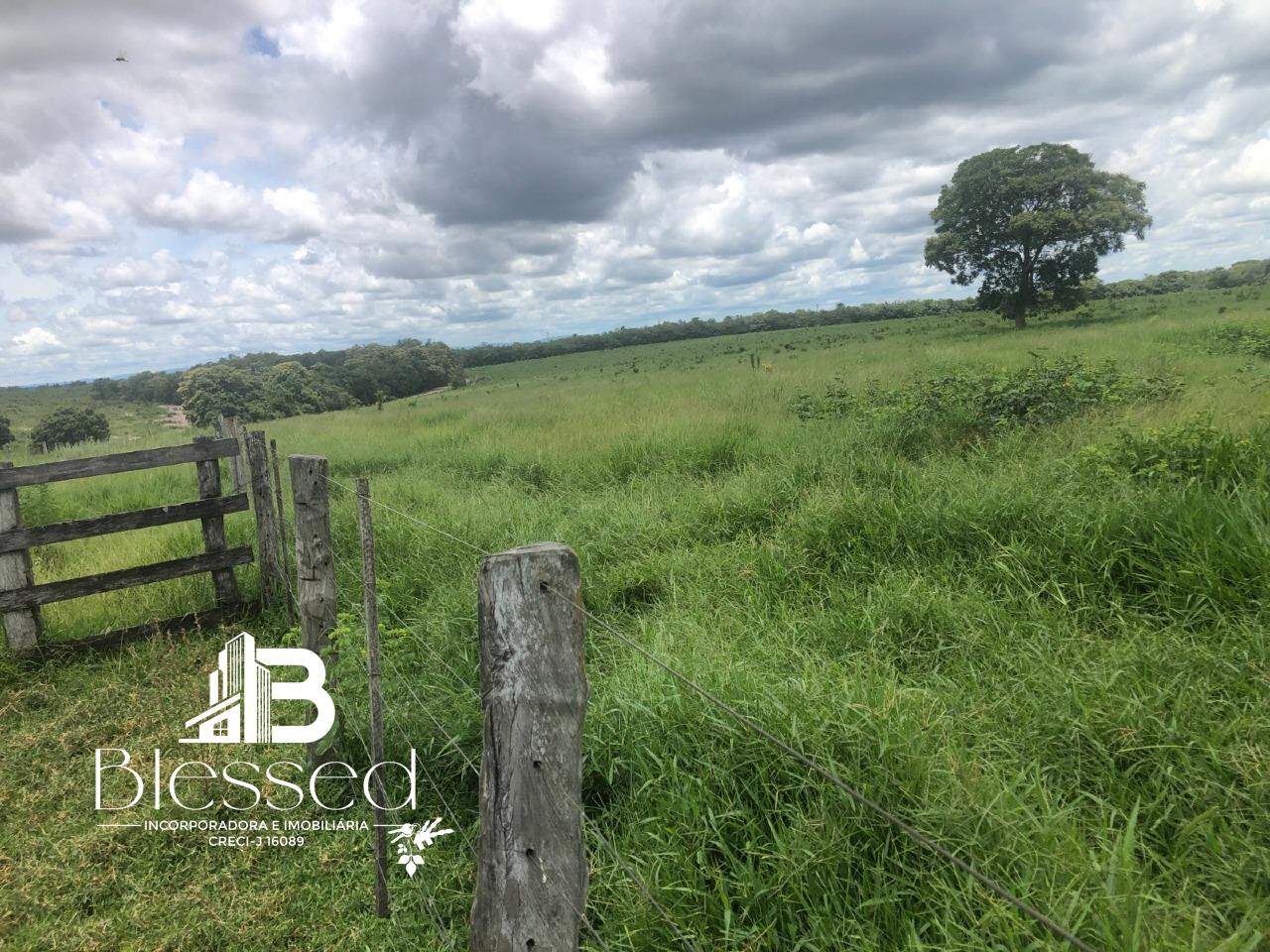 Fazenda à venda no zona rural de Barra do Bugres-MT: 