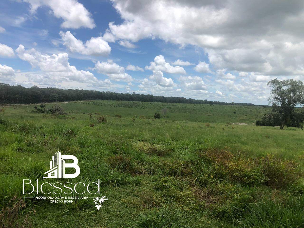 Fazenda à venda no zona rural de Barra do Bugres-MT: 