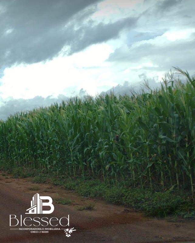Fazenda à venda no zona rural de Nova Brasilãndia-MT: 