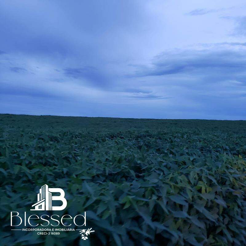 Fazenda à venda no zona rural de Nova Brasilãndia-MT: 