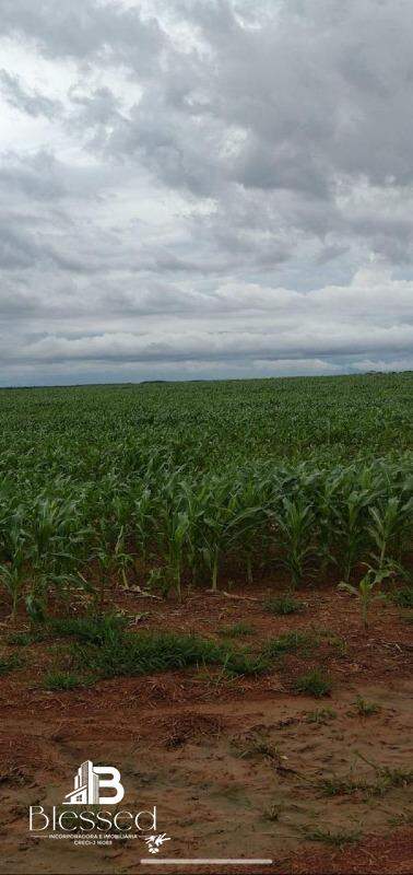 Fazenda à venda no zona rural de Nova Brasilãndia-MT: 