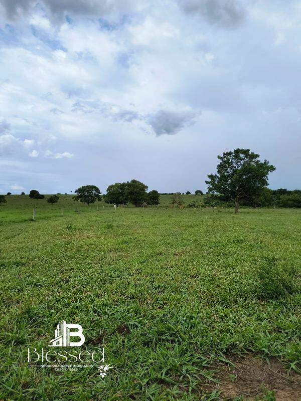 Sítio à venda no zona rural de Nova Marilândia-MT: 