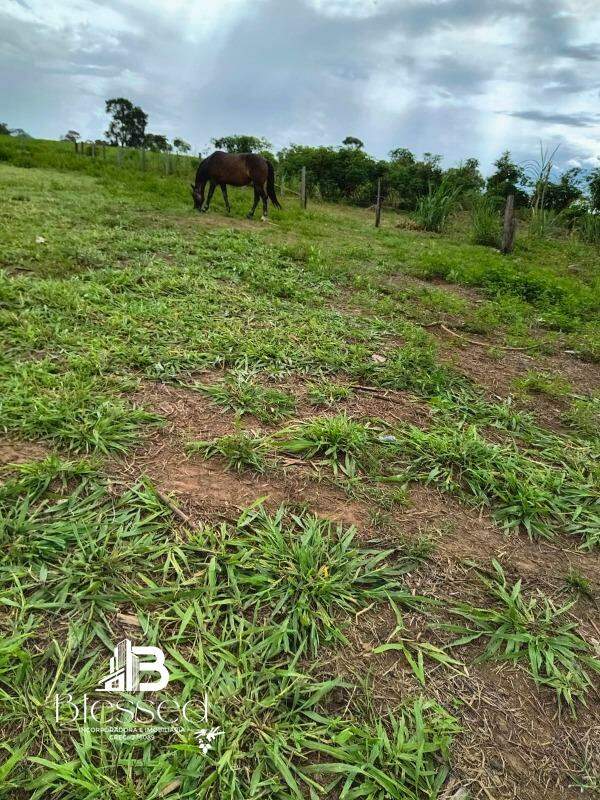 Sítio à venda no zona rural de Nova Marilândia-MT: 