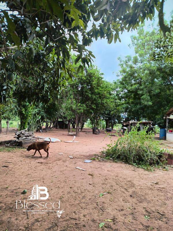 Sítio à venda no zona rural de Nova Marilândia-MT: 