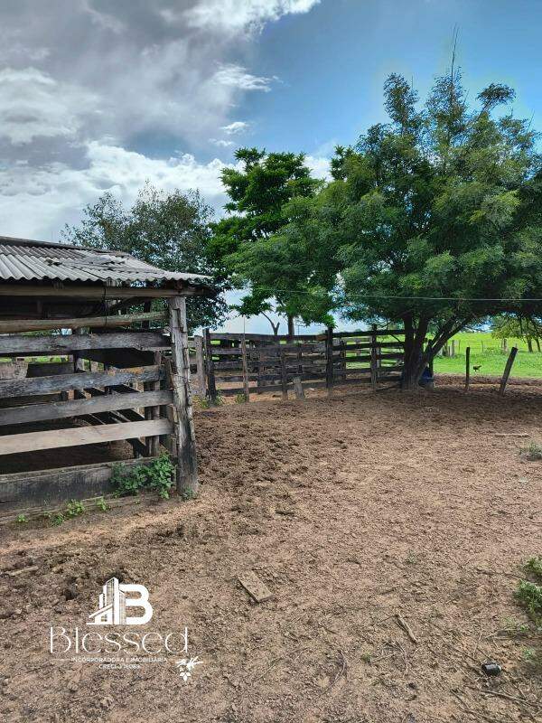 Sítio à venda no zona rural de Nova Marilândia-MT: 