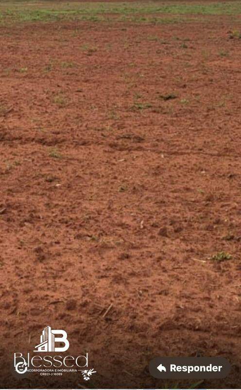 Fazenda à venda no zona rural de Nova Maringá-MT: 