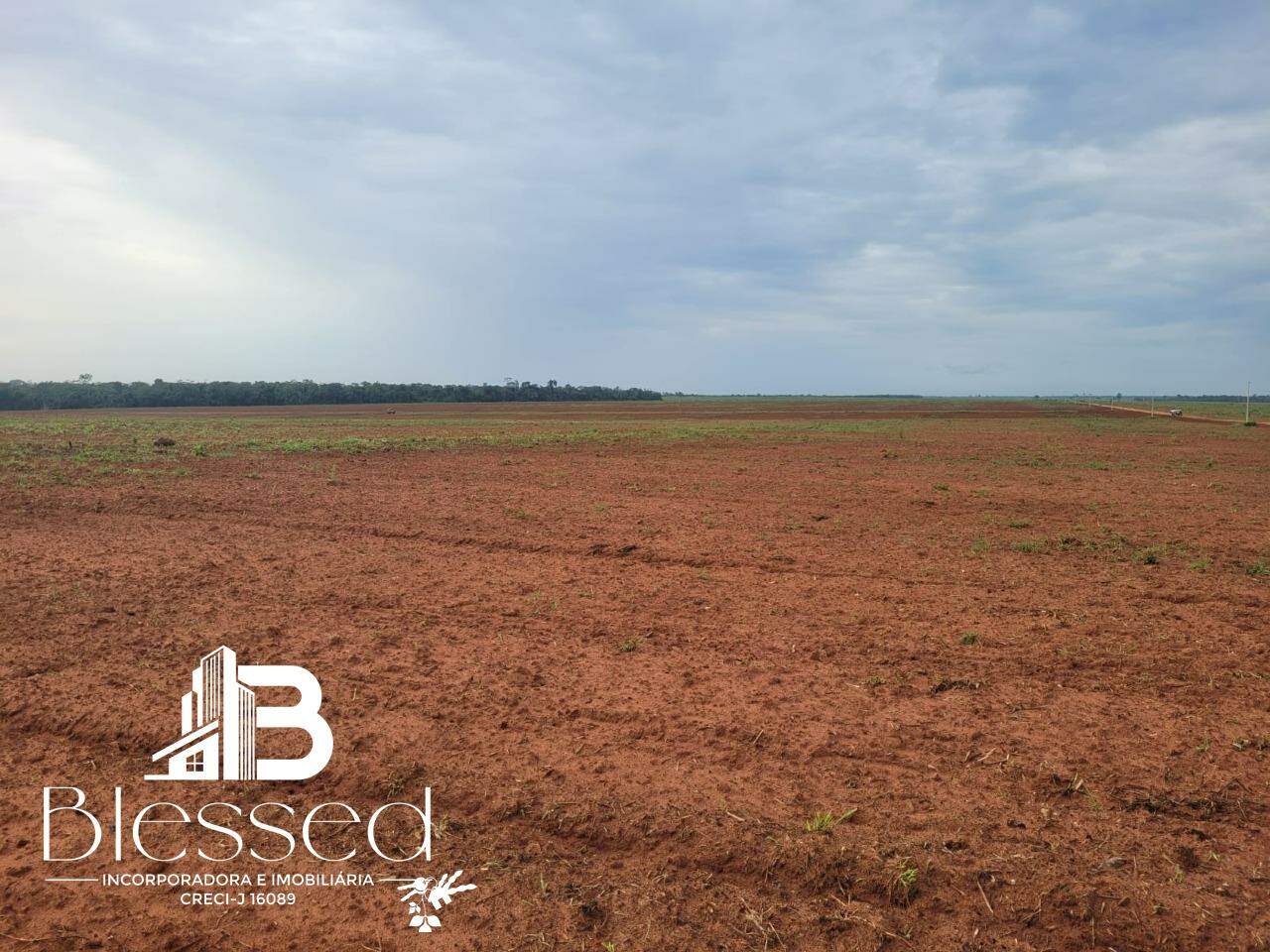 Fazenda à venda no zona rural de Nova Maringá-MT: 