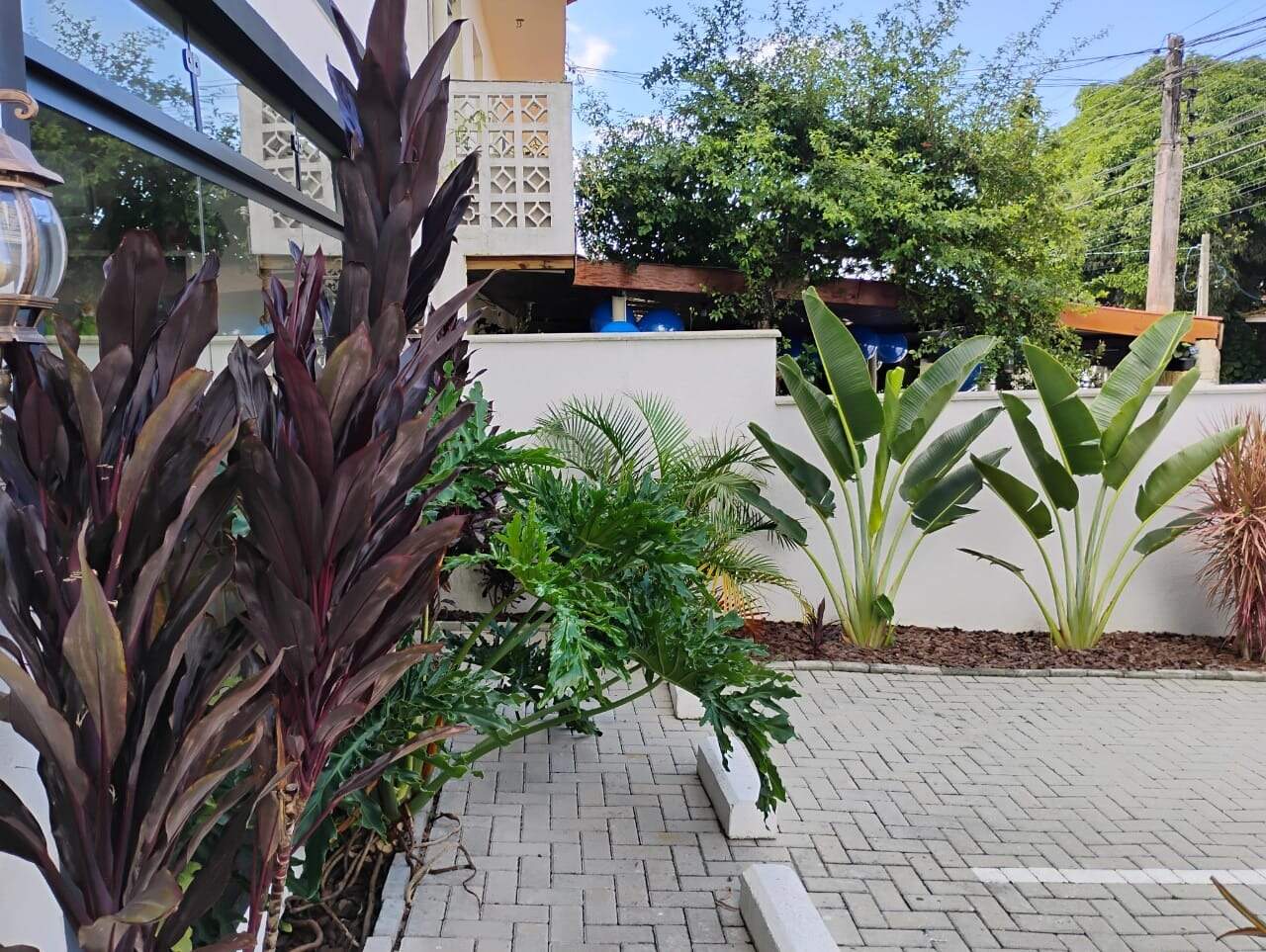 Casa comercial[ NumeroQuarto] Capoeiras Florianópolis : 