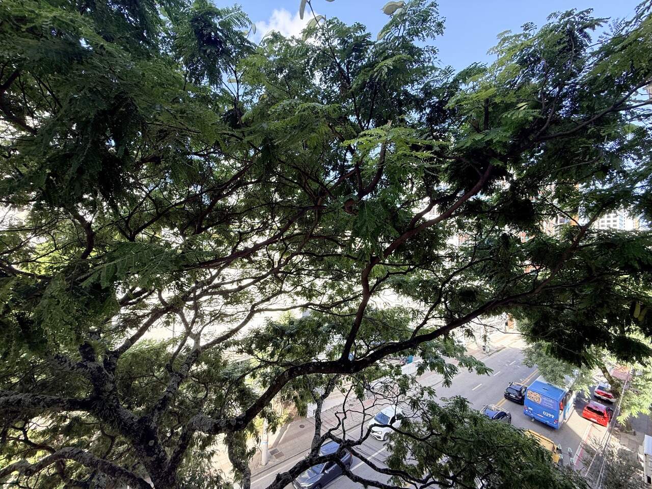 Apartamento[ NumeroQuarto] Centro Florianópolis Presidente: 