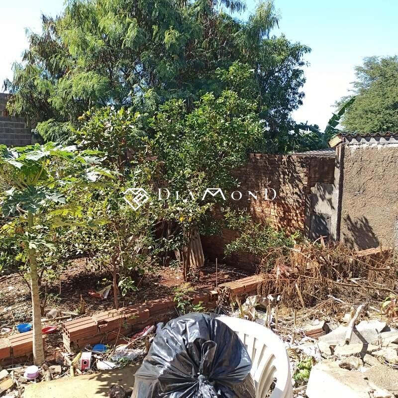 Terreno à venda no Dona Zulmira: 