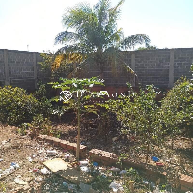 Terreno à venda no Dona Zulmira: 