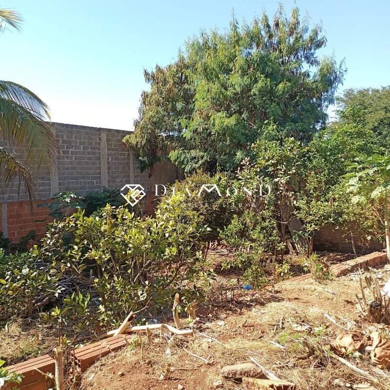 Terreno à venda no Dona Zulmira: 