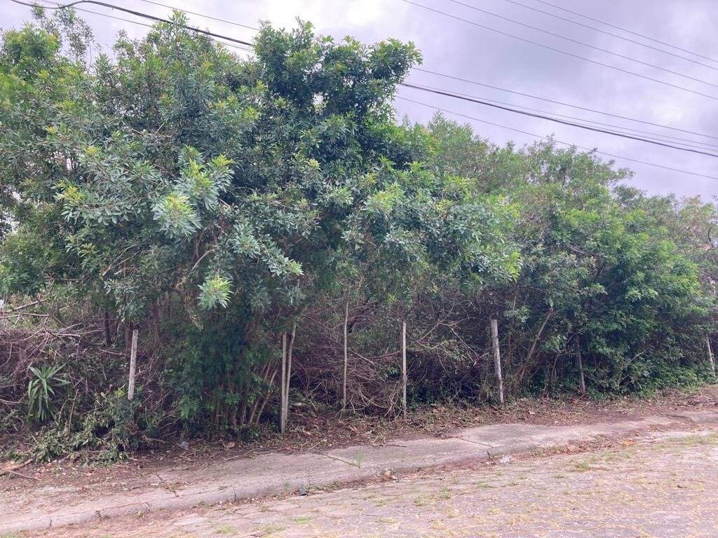 Terreno[ NumeroQuarto] Pântano do Sul Florianópolis : 