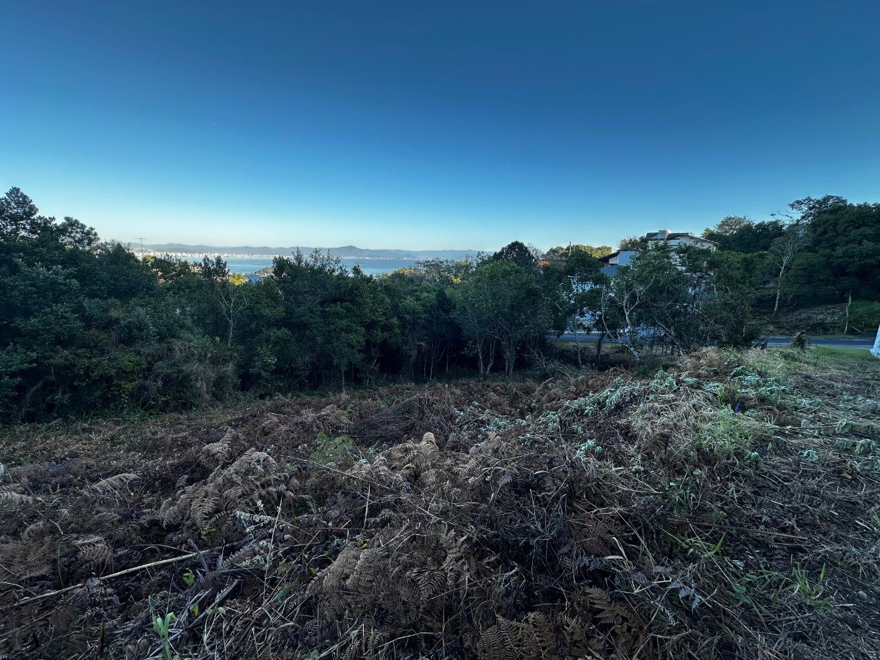 Terreno[ NumeroQuarto] João Paulo Florianópolis Jardim Caiobig: 