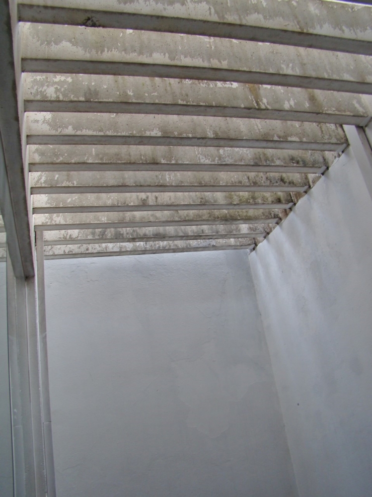 Loja / Salão / Ponto Comercial para aluguel no ELISA FUMAGALLI: limeira-elisa-fumagalli-02-03-2021_16-24-03-7.jpg