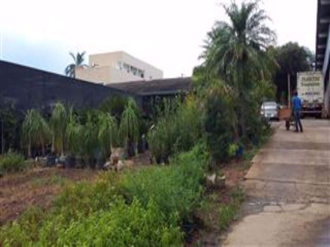 Galpão à venda no Parque Brasília: 