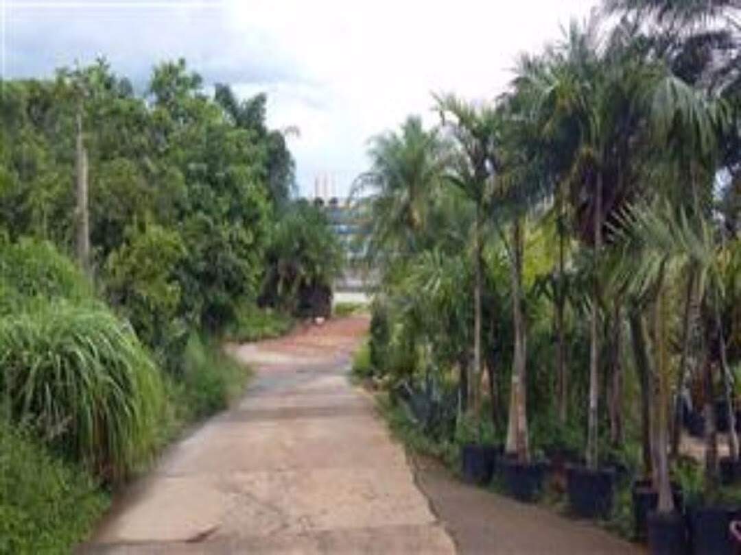 Galpão à venda no Parque Brasília: 