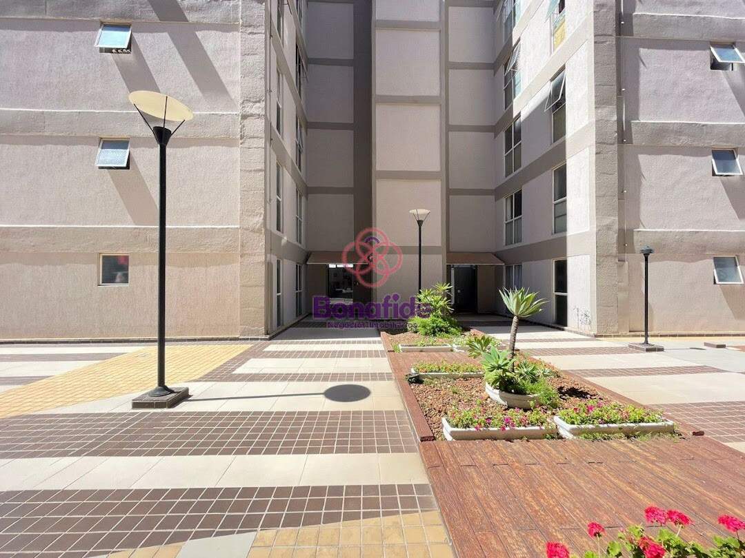 Apartamento à venda no Jardim Primavera: 