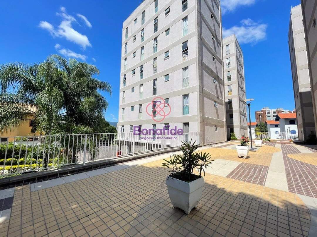 Apartamento à venda no Jardim Primavera: 